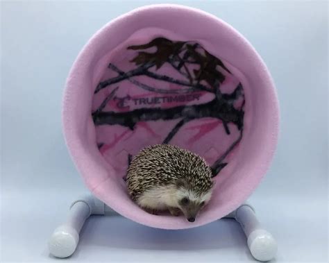 hedgehog running wheel|bucket wheel for hedgehog.